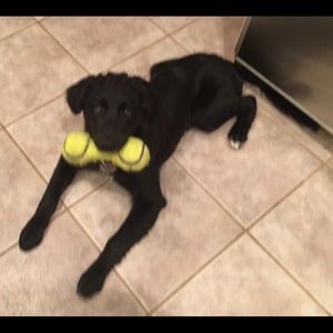 Meet your Posher, Kristen